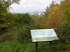 View from One Tree Hill