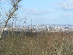 View of Central London from One Tree Hill featuring the Post Office Tower and The London Eye