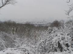 Misty and snowy view of London from One Tree Hill