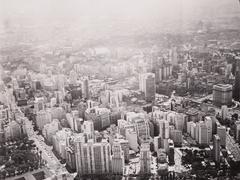 Aerial view of São Paulo city, part of Museu Paulista collection