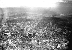 Aerial view of São Paulo cityscape