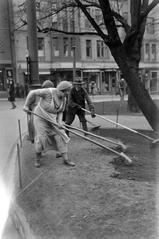 park renovation works in Kolmikulma park