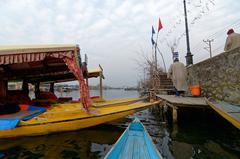 Boats at Dal Lake, Srinagar