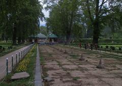 view of Shalimar Bagh in Srinagar