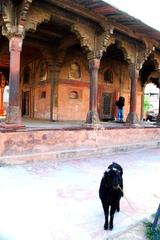 Nadan Mahal in Lucknow