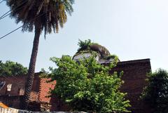 Qutb Minar complex tomb in Delhi