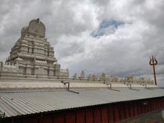 Sri Dwadasha Jyothirlinga Devasthana in Omkara hills