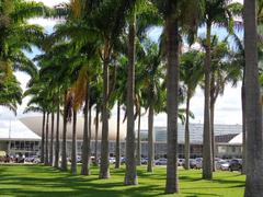 Brasilia DF Brasil with palm trees