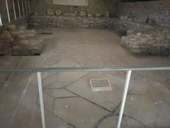 North Leigh Roman Villa remains