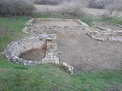 North Leigh Roman Villa aerial view