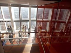 London Shard visitors looking south