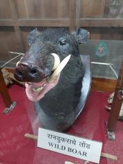 wild boar statue