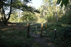 Naturschutzgebiet Bockholter Berge in Greven