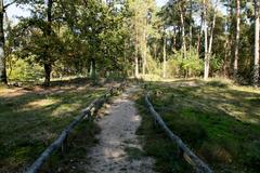 A natural landscape view of Naturschutzgebiet Bockholter Berge in Greven