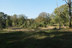 Naturschutzgebiet Bockholter Berge in Greven