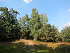 NSG Bockholter Berge landscape in Steinfurt, Nordrhein-Westfalen