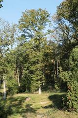 Naturschutzgebiet Bockholter Berge