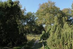 Naturschutzgebiet Bockholter Berge in Greven