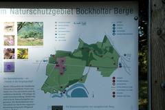 Naturschutzgebiet Bockholter Berge in Greven