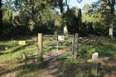 Nature reserve Bockholter Berge in Greven