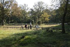 Naturschutzgebiet Bockholter Berge in Greven