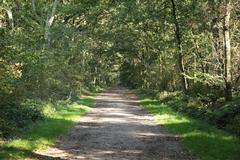 Bockholter Berge nature reserve