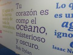 Bob Dylan quote at Inbursa Aquarium