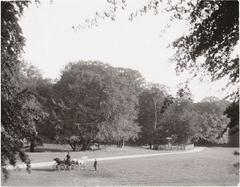 Dyrehaven park in autumn