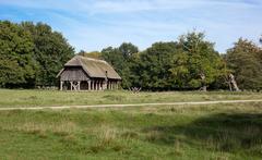 Feeding station in Jægersborg Dyrehave, Denmark