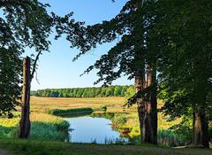 The Royal Deer Park in Jægersborg Dyrehave