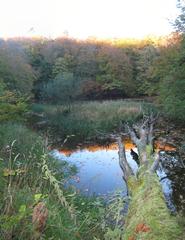 Scenic autumn landscape with a lake reflecting colorful foliage