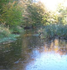 Autumn scenery at Skodsborg Dam with serene lake and colorful trees