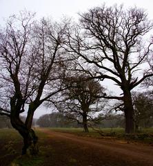 Klampenborg in Dyrehaven