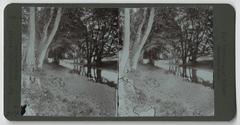 1892 Dyrehaven scenic park photograph