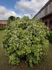 Agra Fort