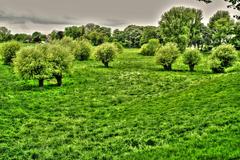 Scenic water moat in Kaiserswerth, Düsseldorf with lush greenery