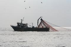 fishermen retrieving nets at Capri coast