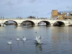 Kingston Bridge over the River Thames on a bright day