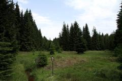 National nature reserve Kladské rašeliny near Prameny village in summer