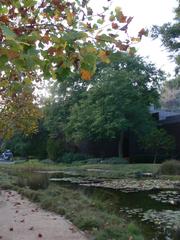 Norton Simon Museum garden and pond