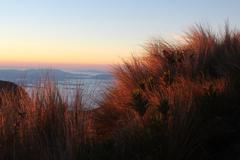 Morning sunlight illuminating grass on Pedra do Sino