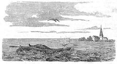 A summer day on the lake illustration by Elias Sehlstedt from 1862