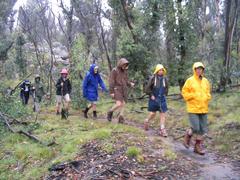 Bushwalking in the rain at Kosciuszko National Park