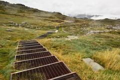 Creek and metal track on the Kosciuszko Plateau, NSW