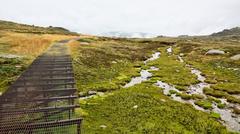 Creek and metal track on the Kosciuszko Plateau, NSW