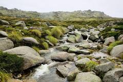 Creek on the Kosciuszko Plateau, NSW