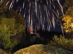 Fireworks over snowy landscape at night