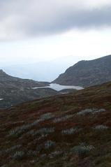 View of Albina Lake from the Main Range track near Mt Northcote