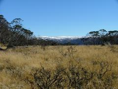 dry grassy plain leading up to snow-capped mountains in Kosciuszko National Park