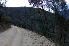 Scenic view of Barry Way near Jacob River campsite